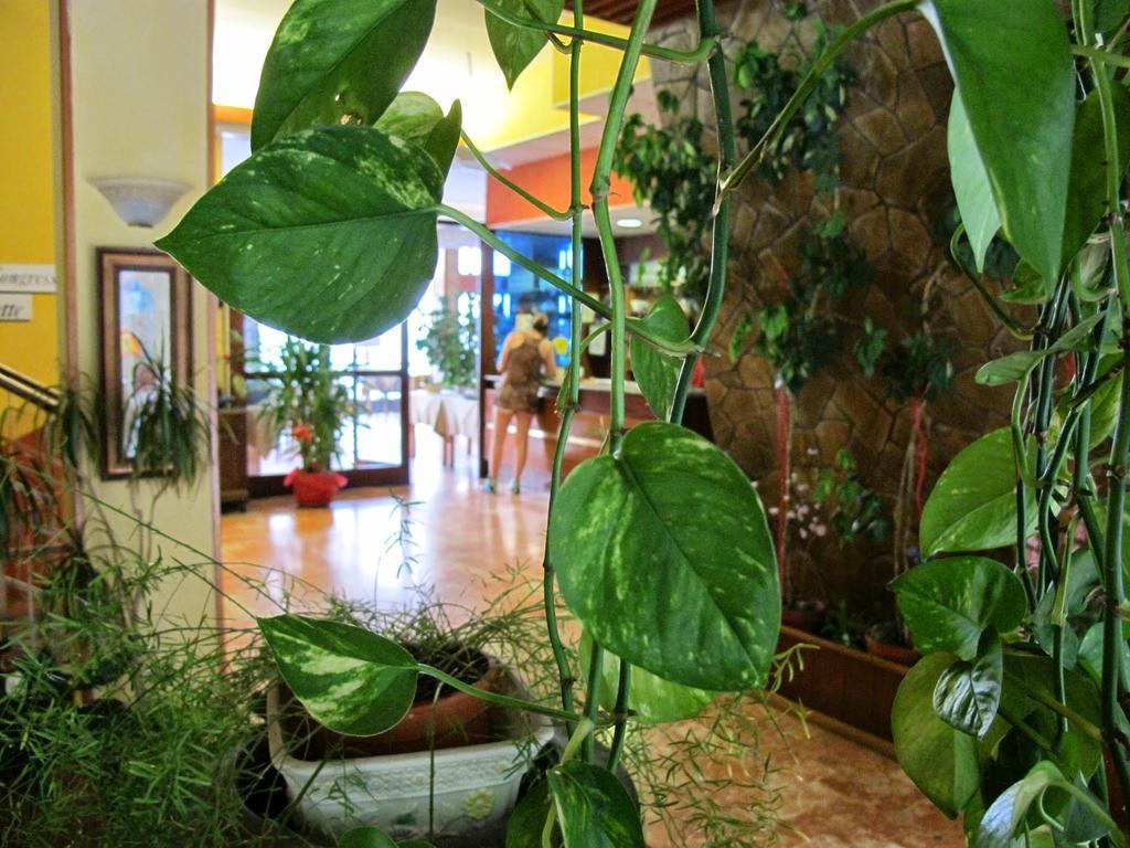 Hotel Capo 诺利 外观 照片